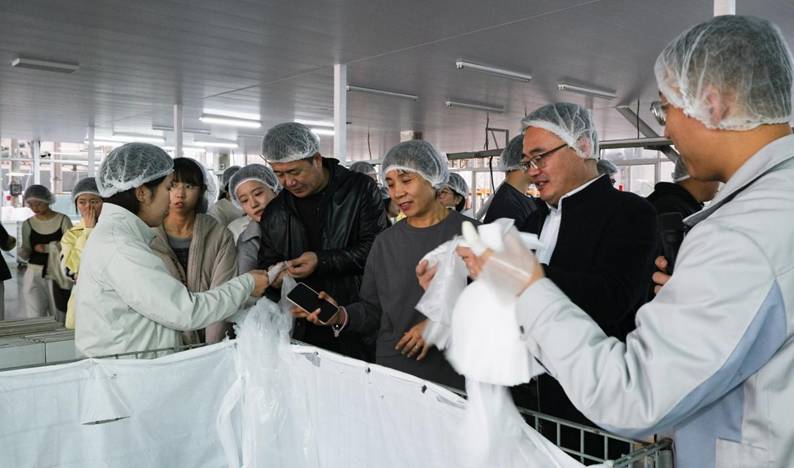 英科医疗5 英科医疗5